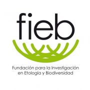 (c) Fiebfoundation.org