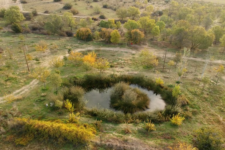 Restauración ecológica