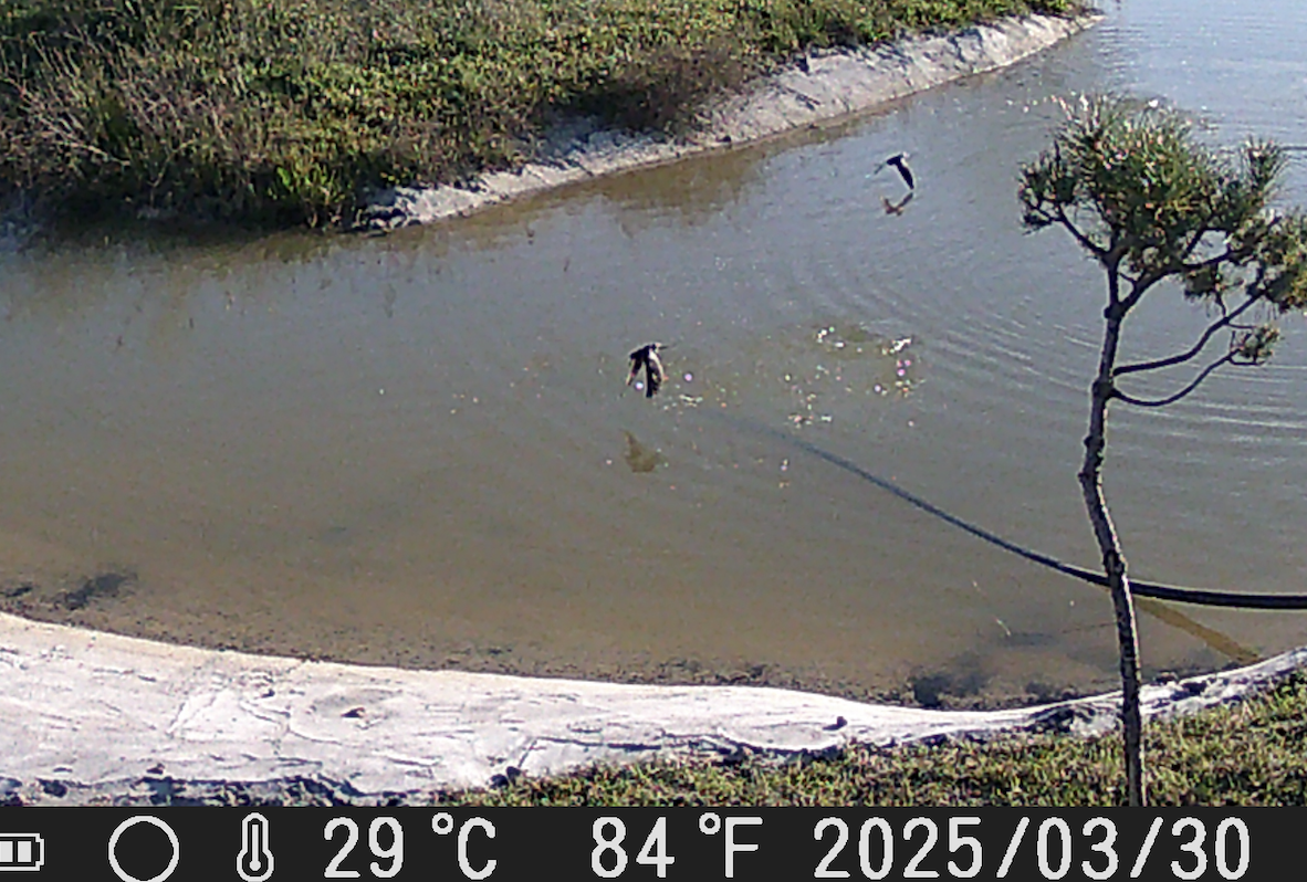 Captura de pantalla 2025-05-26 a las 14.30.02