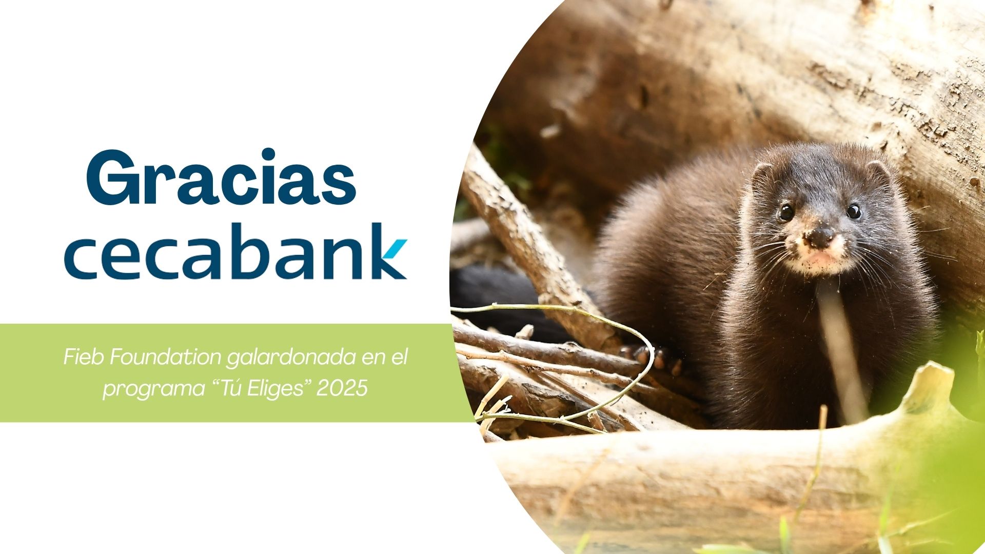 Gracias Cecabank