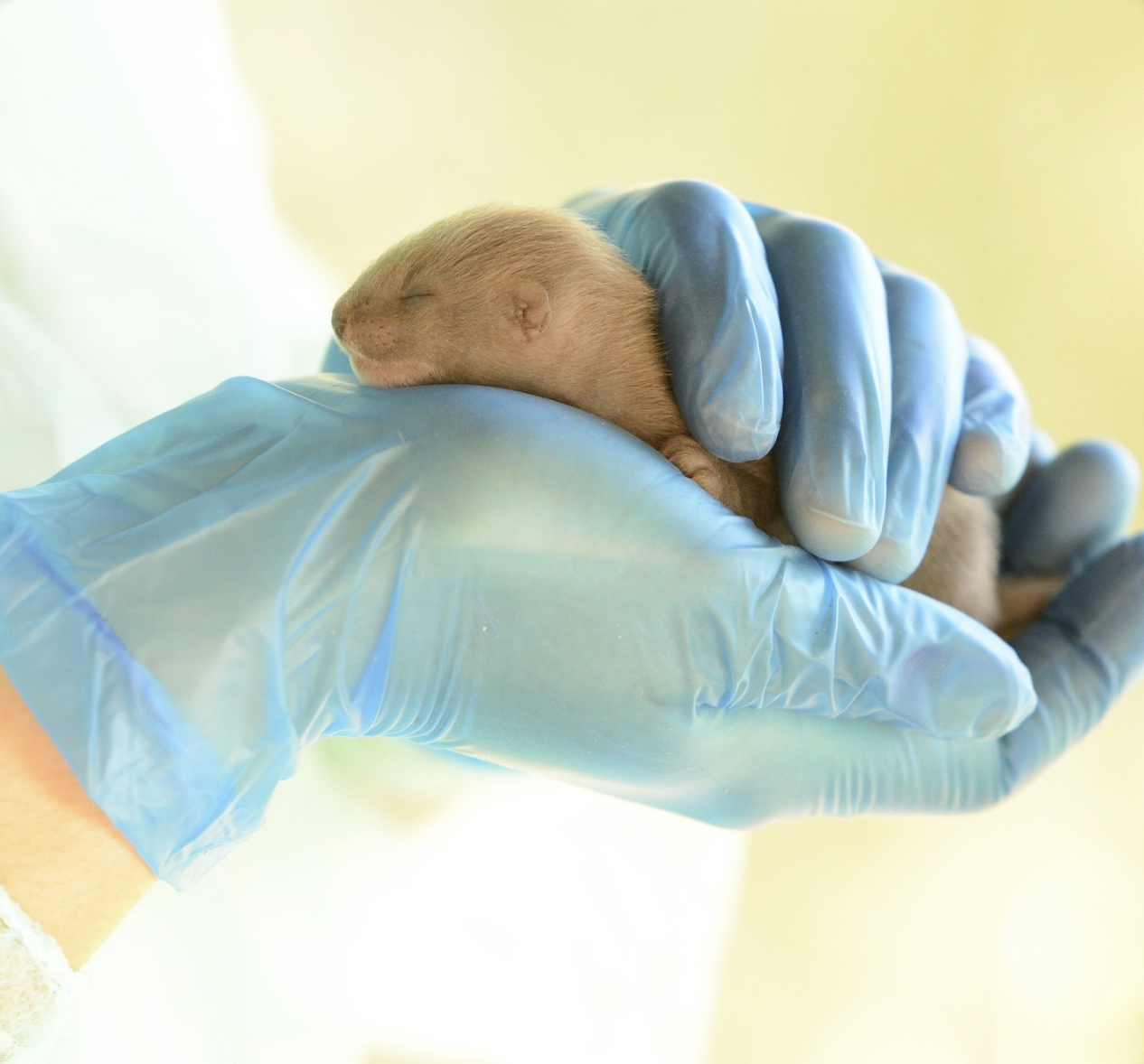 Captura de pantalla 2026-03-12 a las 12.32.56