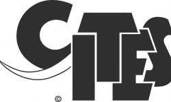 CITES_logo_high_resolution