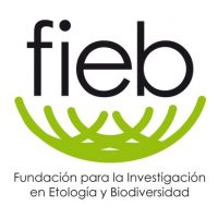 FIEB 3